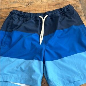 Trinity Blue Gradient Board Shorts Swim
